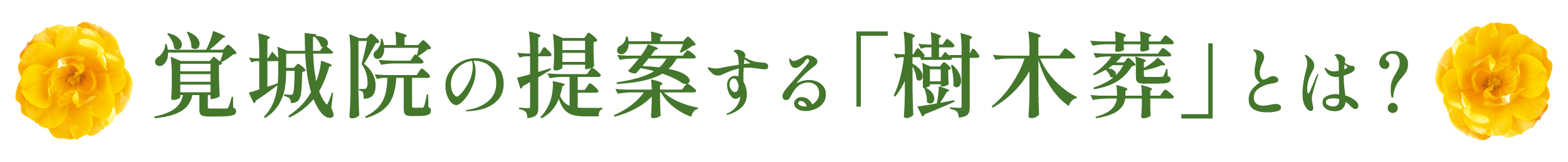 覚城院の提案する「樹木葬」とは？